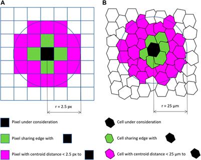 Image Processing Filters for Grids of Cells Analogous to Filters Processing Grids of Pixels